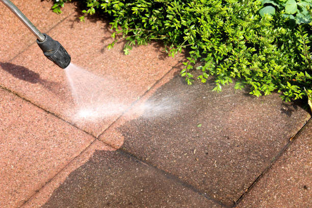 Best Pressure Washing Company Near Me  in Arnold, MO
